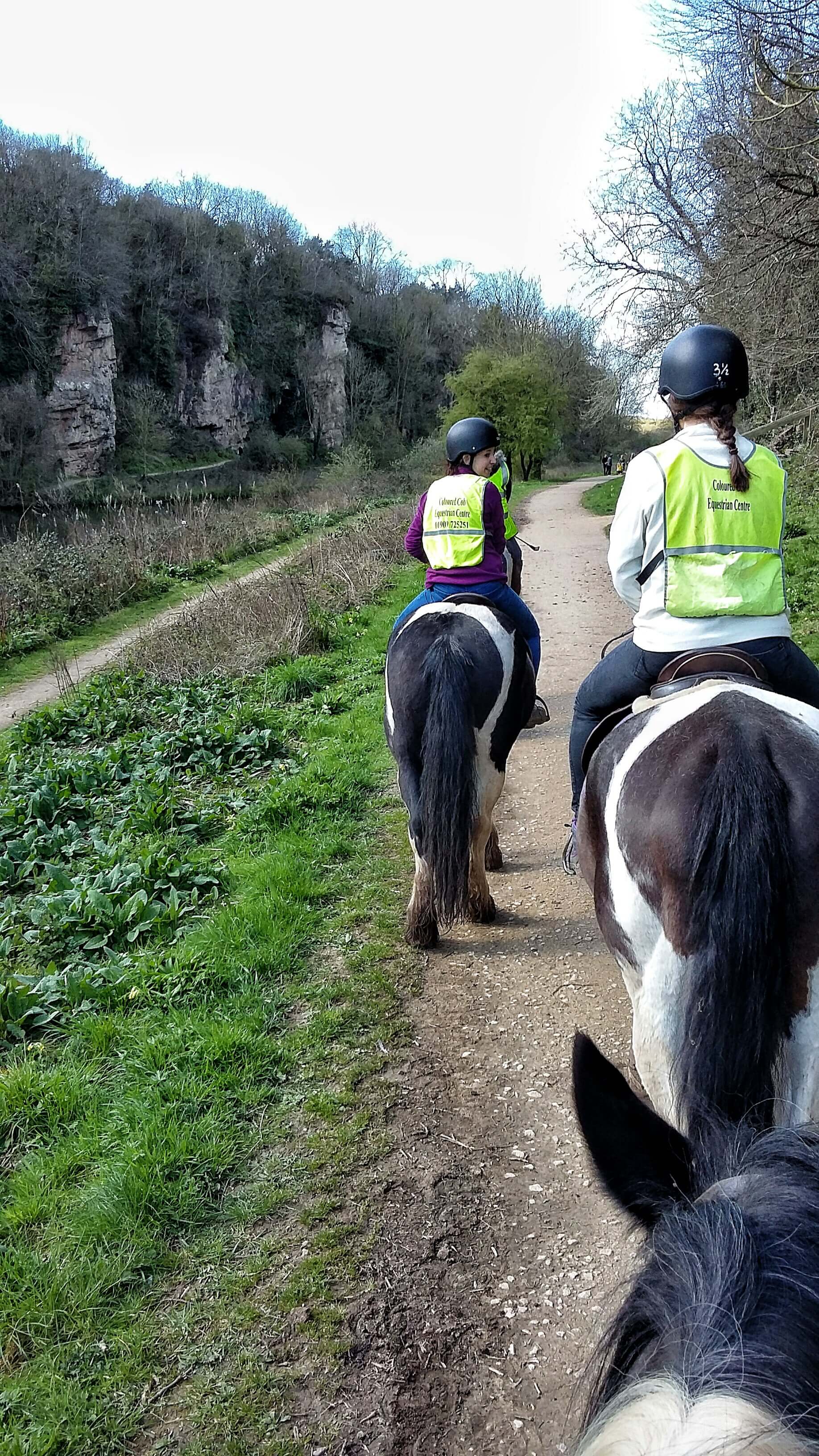 A group on coloured horses hack through Cresswell Crags