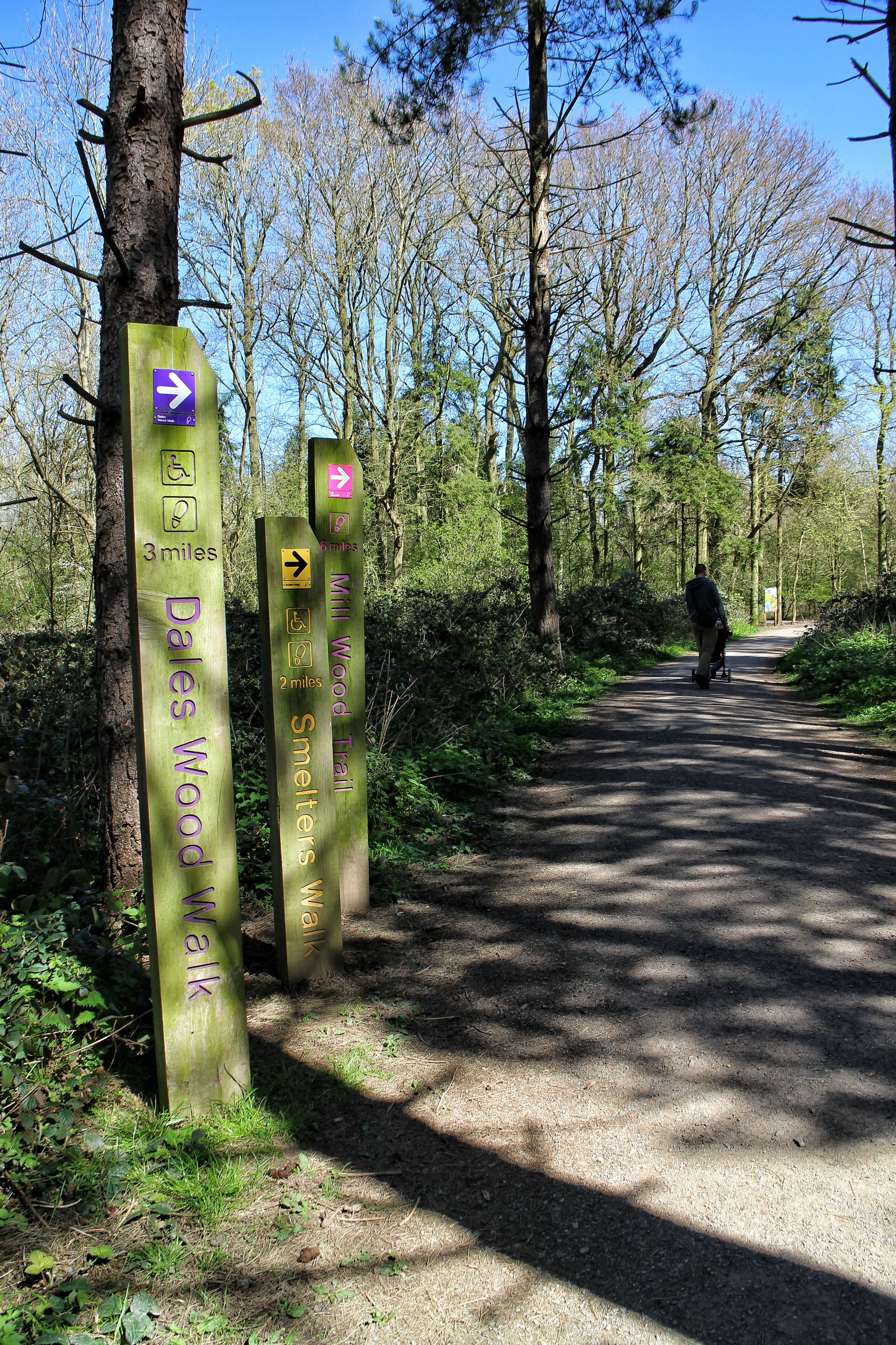 Signs showing the start of the 3 different walking trails at Fineshade woods