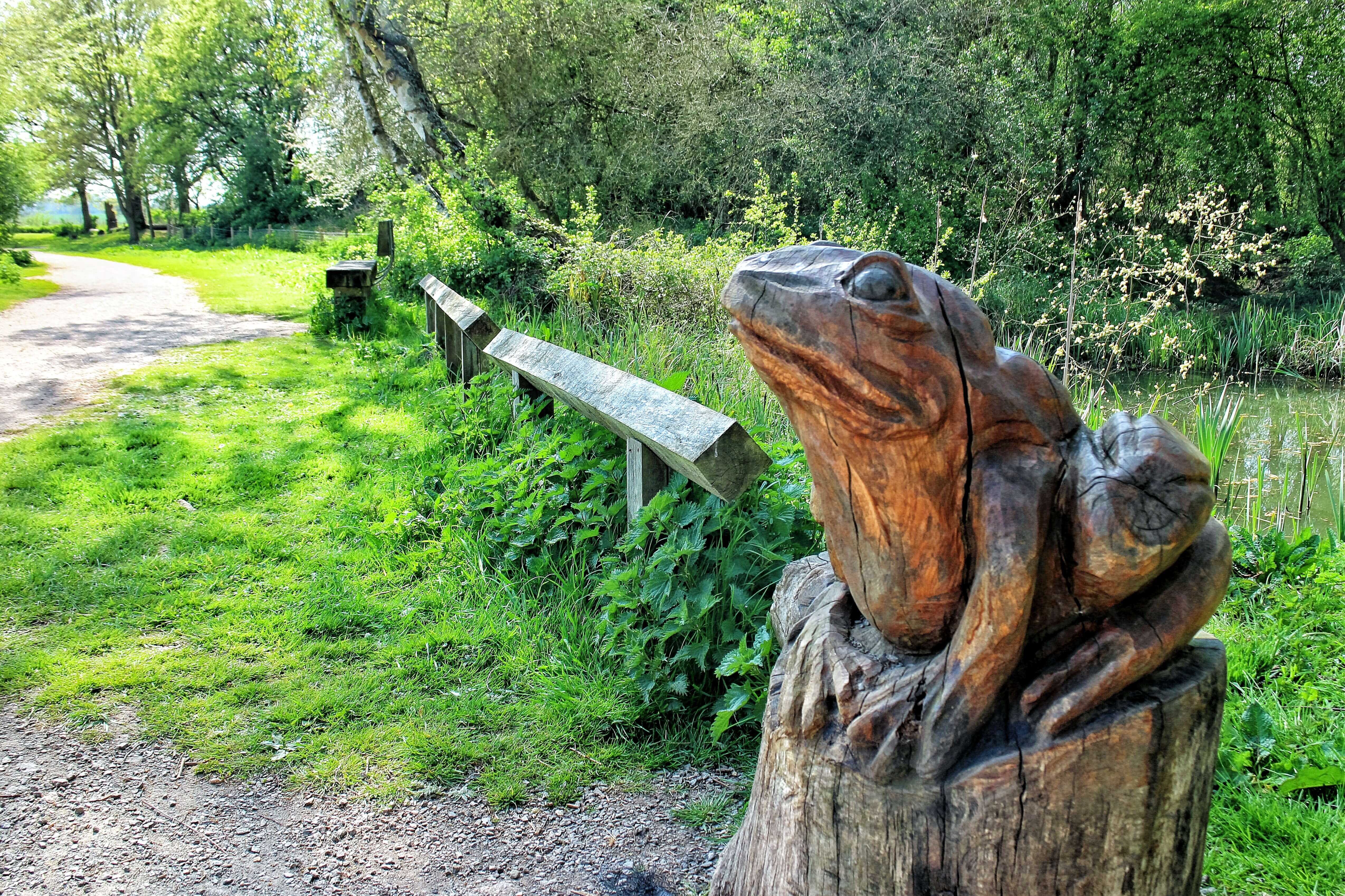 A wooden frog sculpture sits by a path