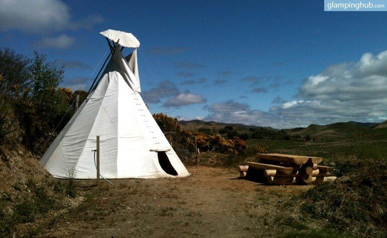 tipi-for-camping-with-dogs-scotland