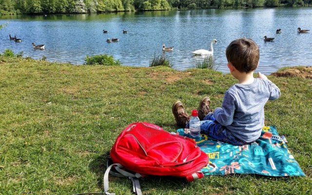 Three easy outdoor ideas to help your family be more mindful