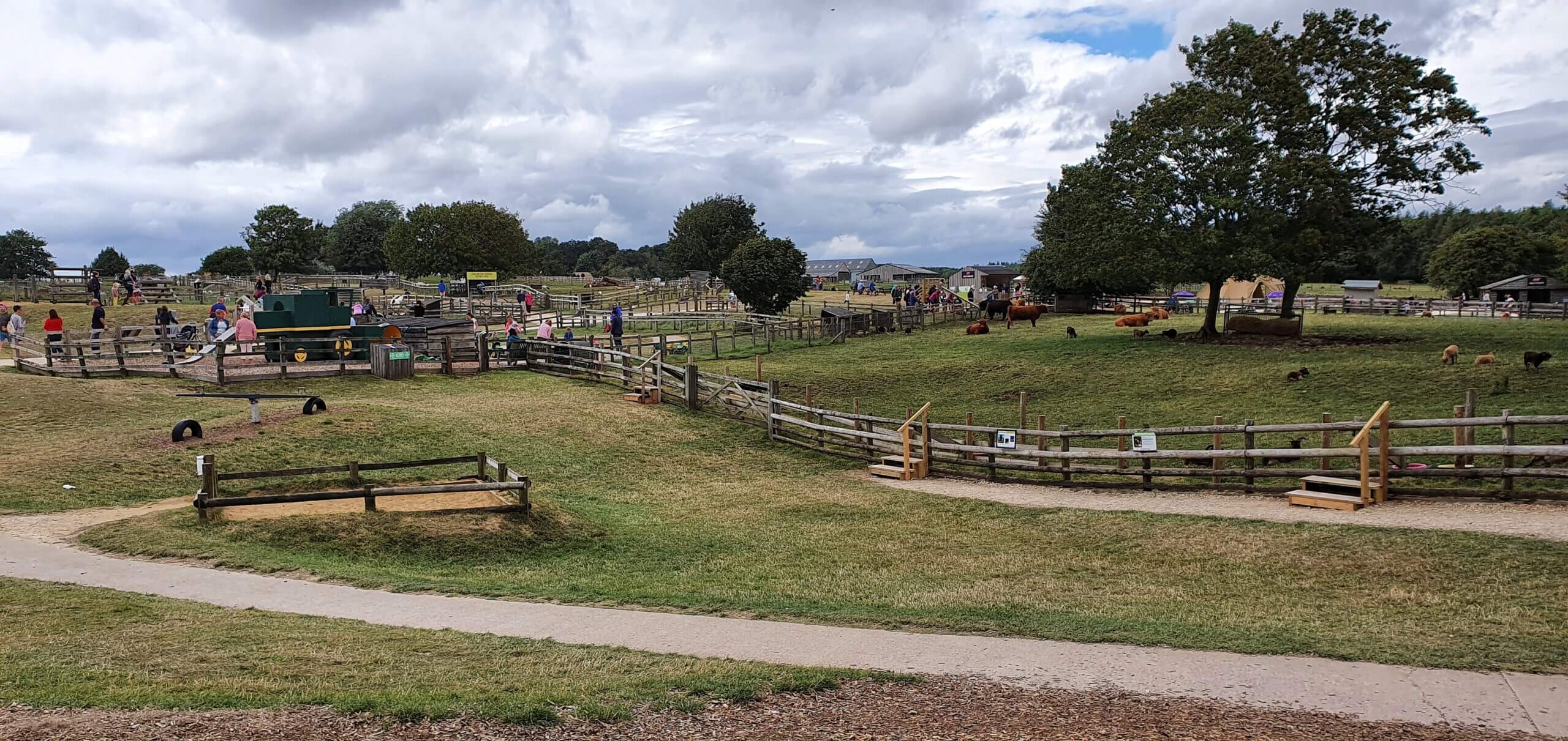 Review Cotswold Farm Park Campsite The Helpful Hiker