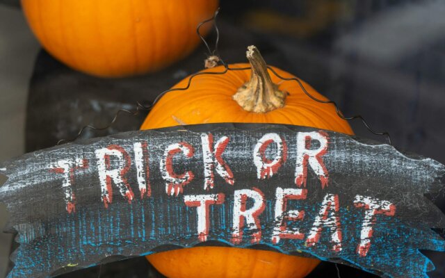 15 Things to do in Northamptonshire this Halloween