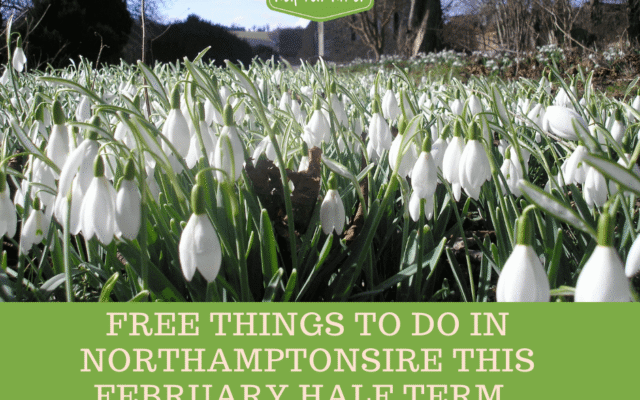 Free Things to do in Northamptonshire this February Half Term