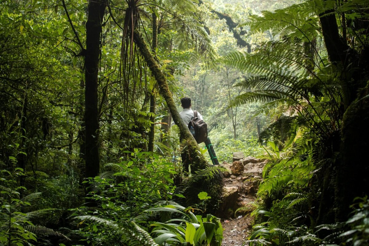 4 Mistakes Hikers Make When Trekking in Tropical Climates