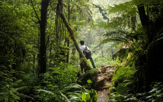 4 Mistakes Hikers Make When Trekking in Tropical Climates