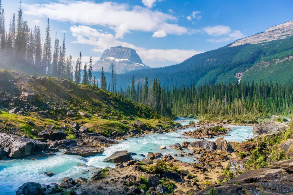 Scenic National Park Routes Perfect for Educational Trips
