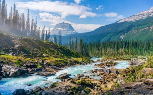Scenic National Park Routes Perfect for Educational Trips