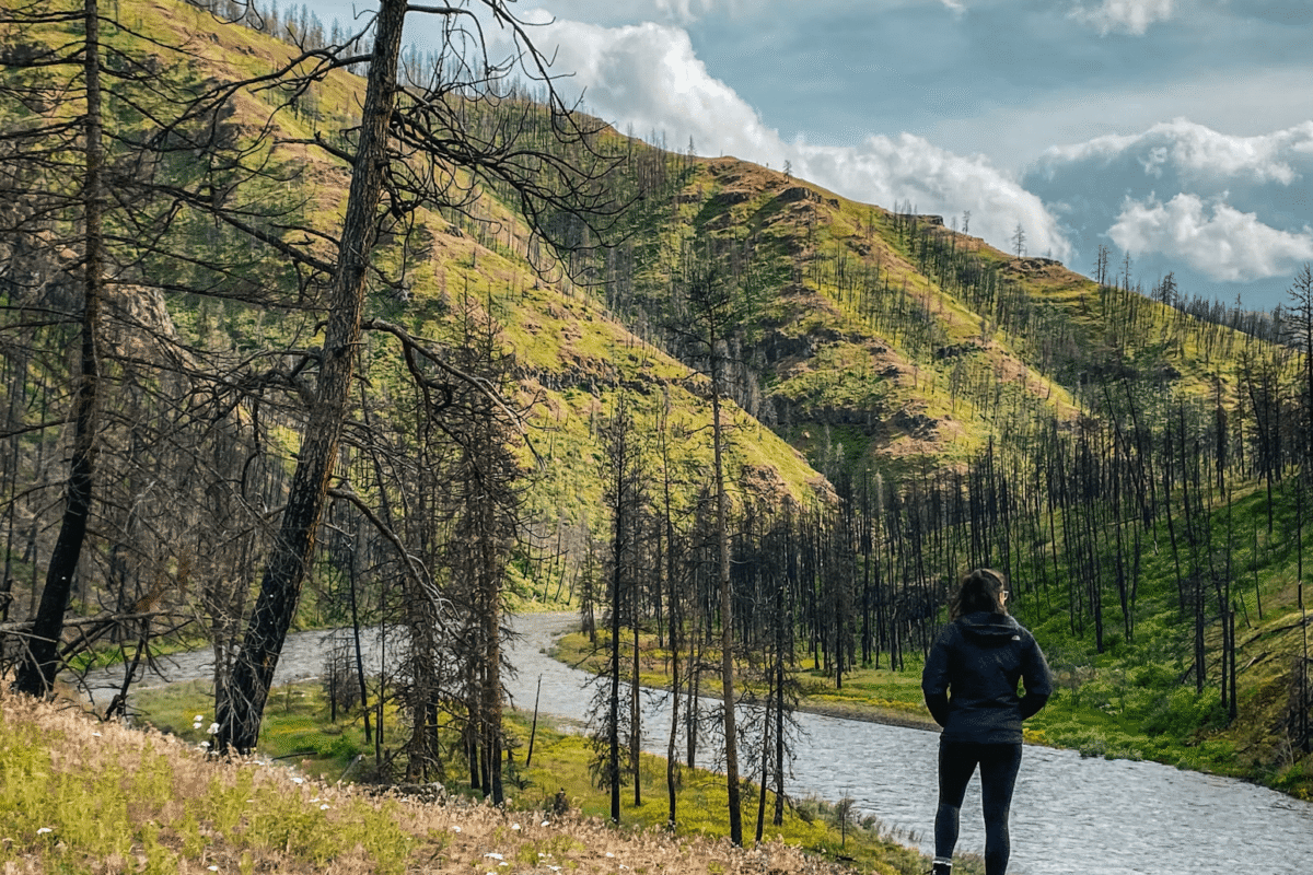 Hiking for Beginners: The Gear You Actually Need on Your First Trail