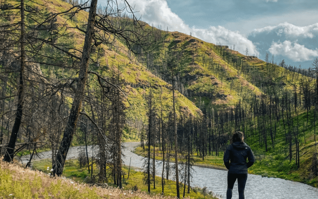 Hiking for Beginners: The Gear You Actually Need on Your First Trail